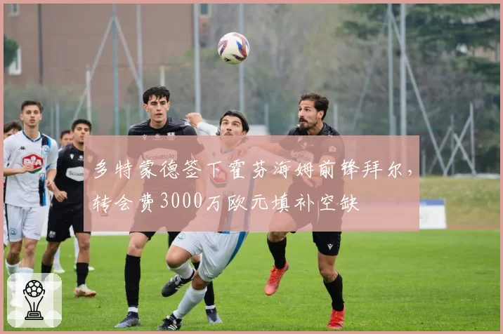 多特蒙德签下霍芬海姆前锋拜尔，转会费3000万欧元填补空缺