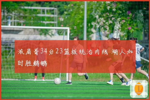 浓眉哥34分23篮板统治内线 湖人加时胜鹈鹕