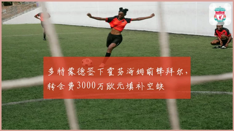 多特蒙德签下霍芬海姆前锋拜尔，转会费3000万欧元填补空缺