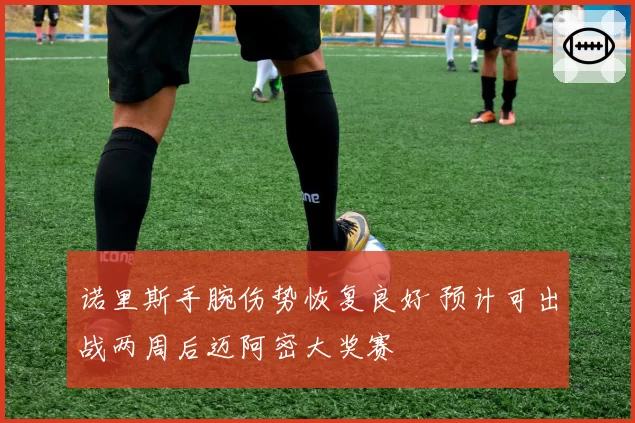 诺里斯手腕伤势恢复良好 预计可出战两周后迈阿密大奖赛